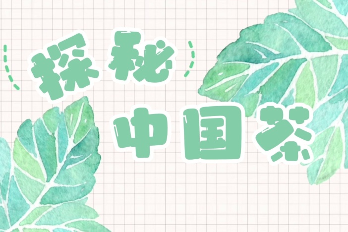 探秘中国茶：茶类小知识