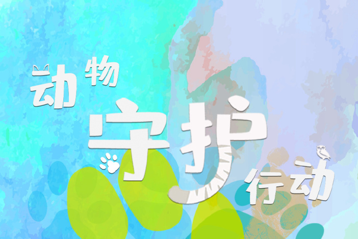 动物守护行动