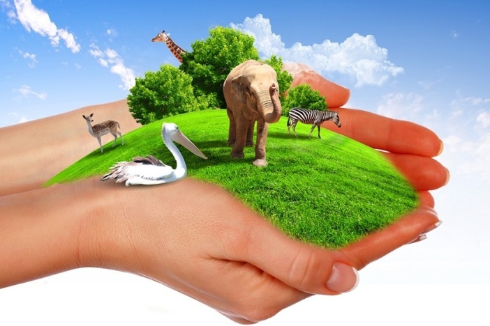 自然保护与生态安全：拯救地球家园