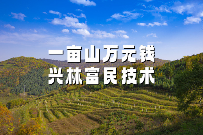 一亩山万元钱兴林富民技术