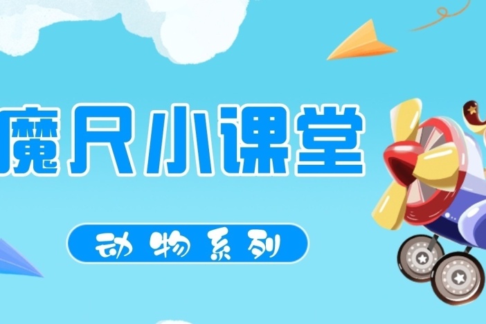 魔尺小课堂：动物系列