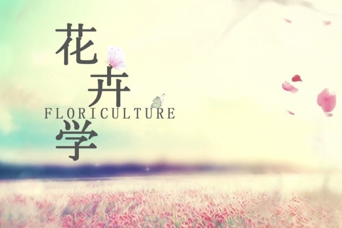 花卉学