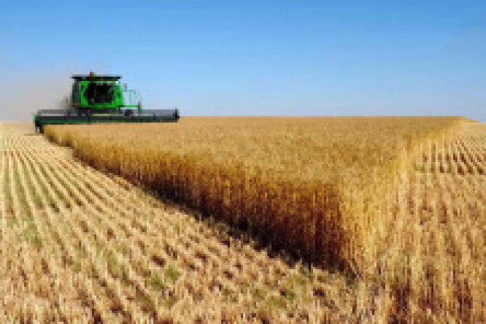 乡村振兴的时代意义与规划蓝图