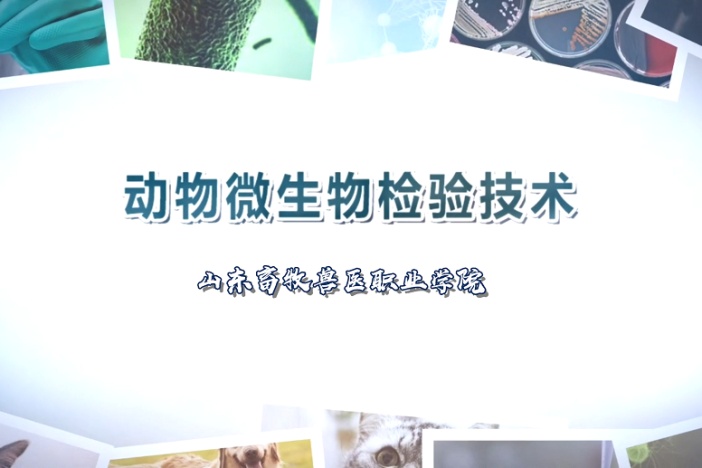 动物微生物检验技术