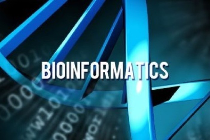 生物信息学：导论与方法