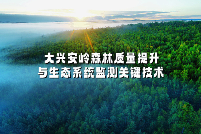 大兴安岭森林质量提升与生态系统监测关键技术