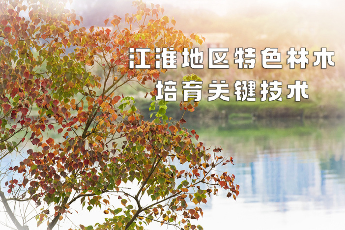 江淮地区特色林木培育关键技术