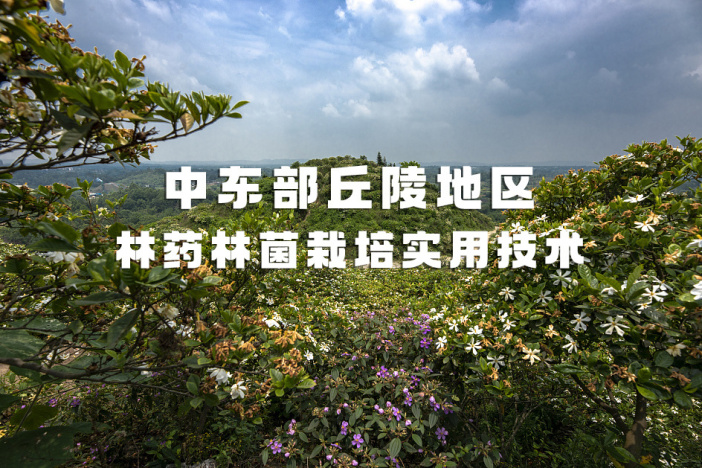 中东部丘陵地区林药林菌栽培实用技术