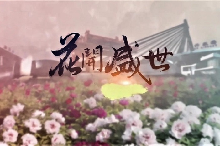 花开盛世