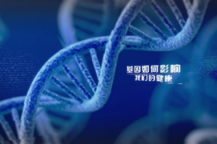 基因与健康