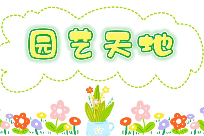 园艺天地：鸡冠花养护小技巧