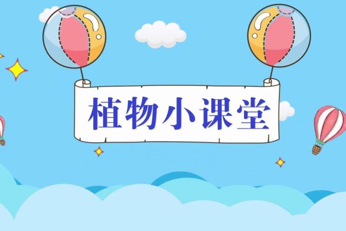 植物小课堂