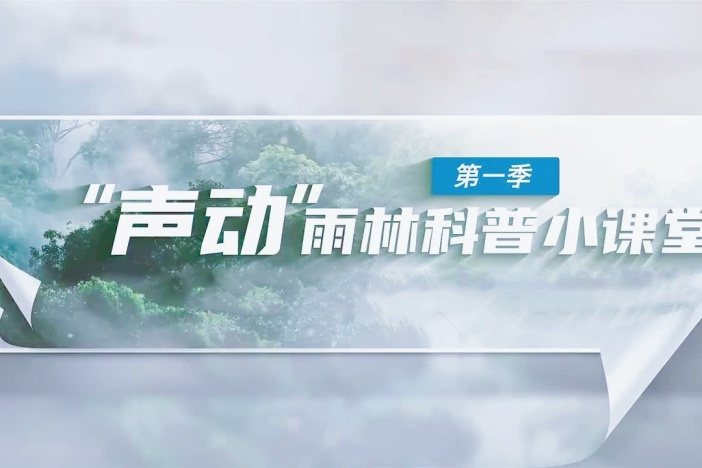 《“声动”雨林科普小课堂》第一季