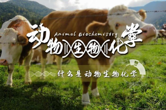 动物生物化学