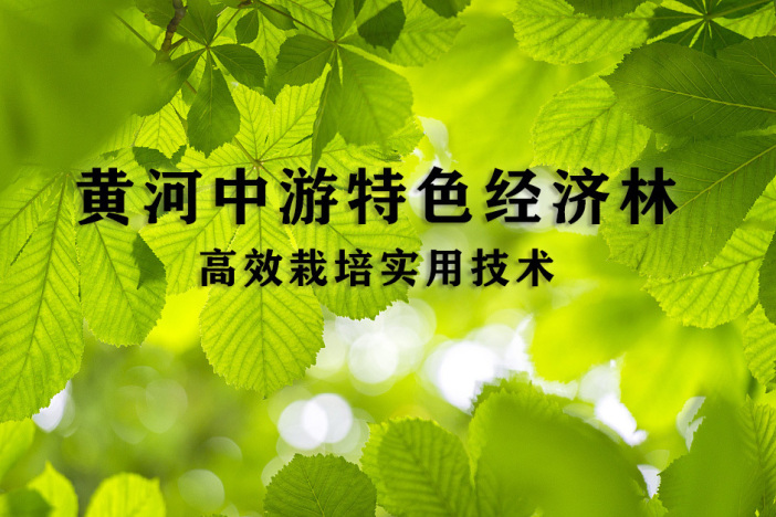黄河中游特色经济林高效栽培实用技术