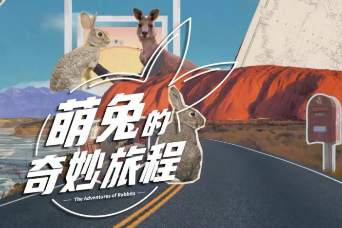 萌兔的奇妙旅程