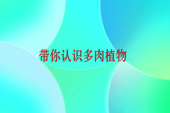 植物科普：带你认识多肉