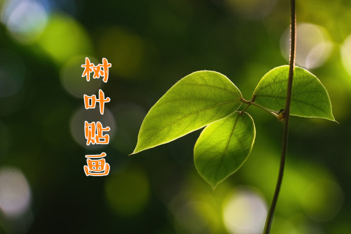 树叶贴画（一）