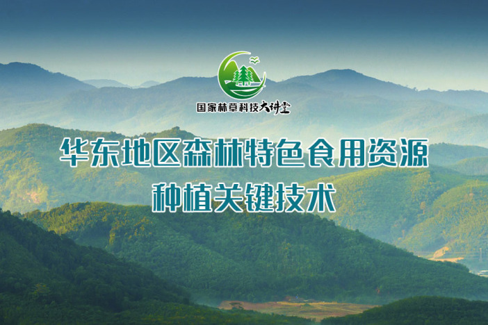 华东地区森林特色食用资源种植关键技术