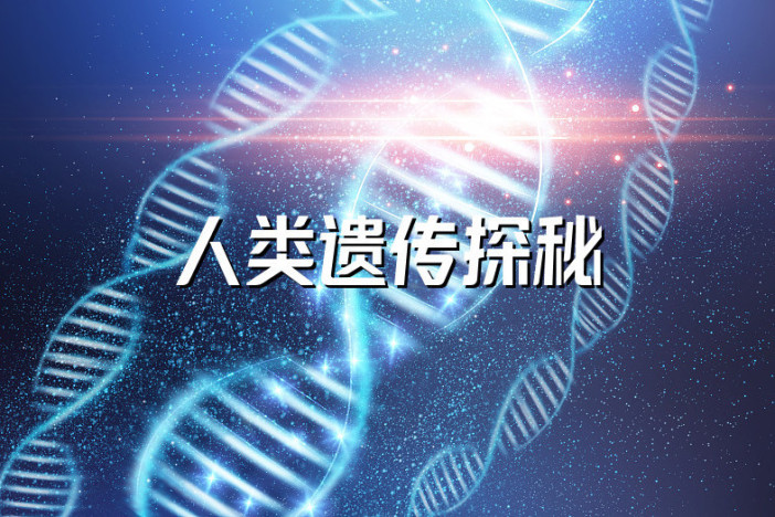 人类遗传探秘