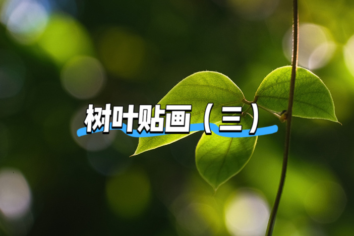 树叶贴画（三）