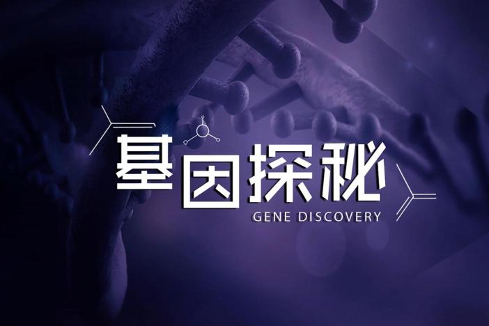 基因探秘