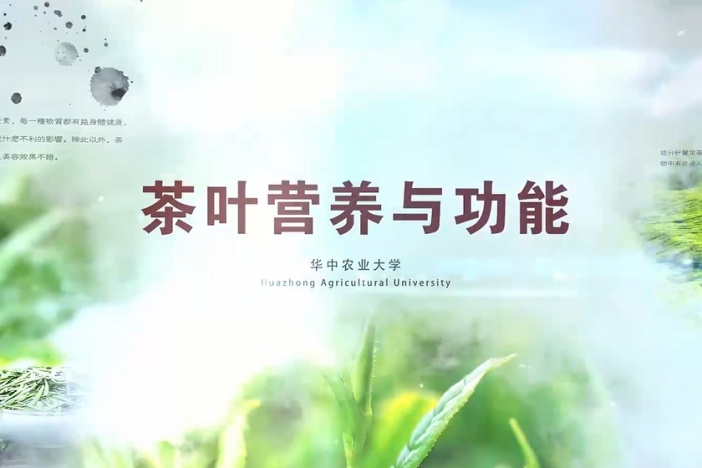 《茶叶营养与功能》