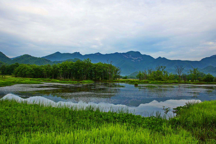 地球之肾——湿地