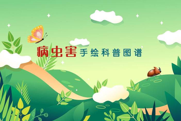 病虫害手绘科普图谱