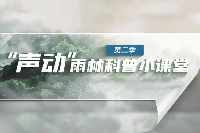 《“声动”雨林科普小课堂》第二季