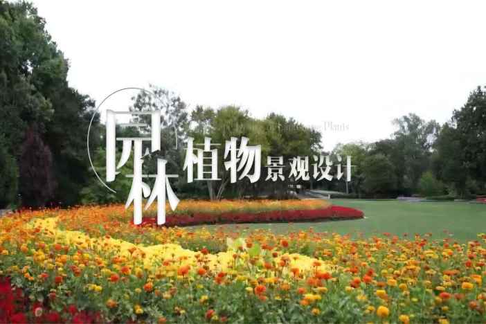 园林植物景观设计