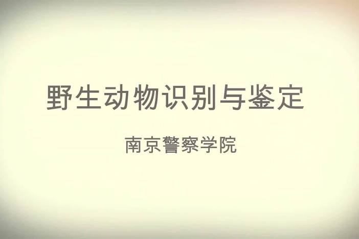 野生动物识别与鉴定
