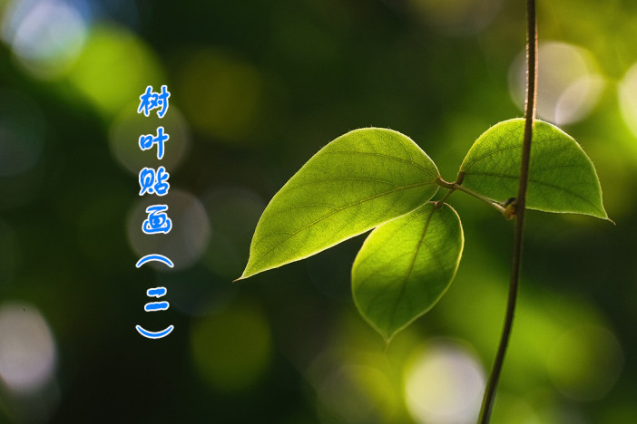 树叶贴画（二）