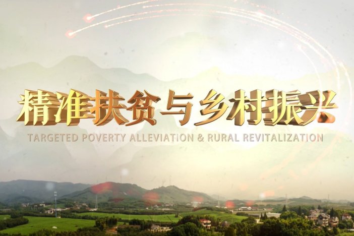 精准扶贫与乡村振兴