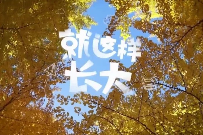 就这样长大（精选）