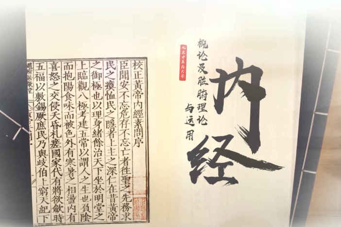 《内经》概论及脏腑理论与应用