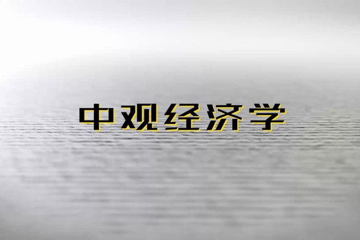 中观经济学