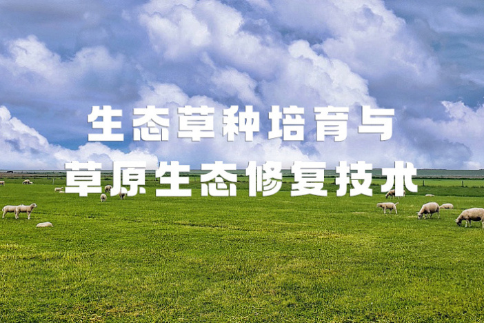 生态草种培育与草原生态修复技术