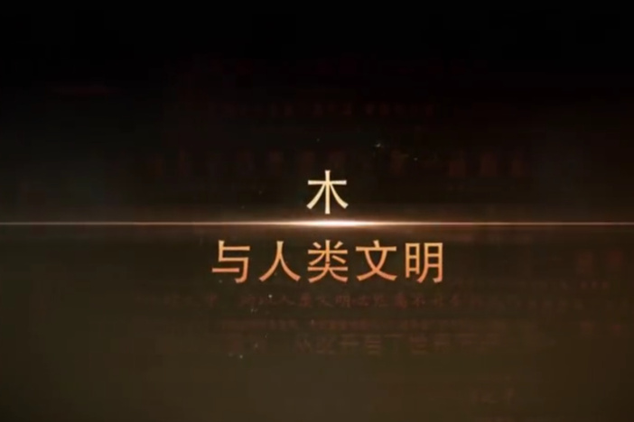 木与人类文明