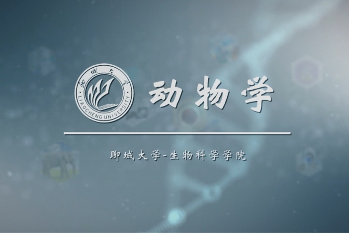 动物学