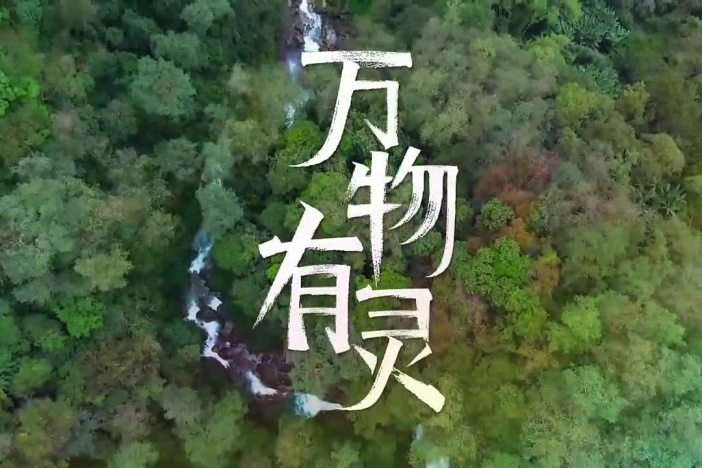 万物有灵（精选）