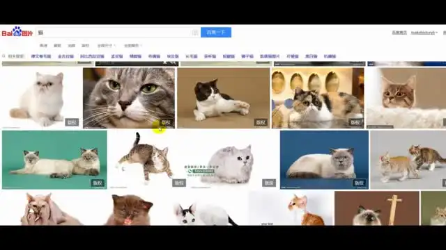 【抖音运营实战】从零到百万粉丝：账号定位与视频制作全攻略