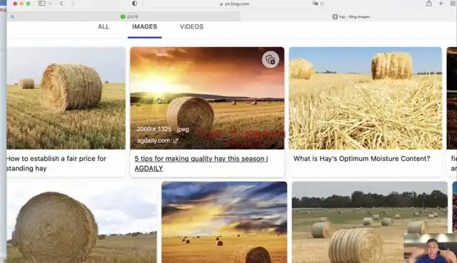 刘一男零基础4000词速记：英语词汇逆袭与西游记语法精讲