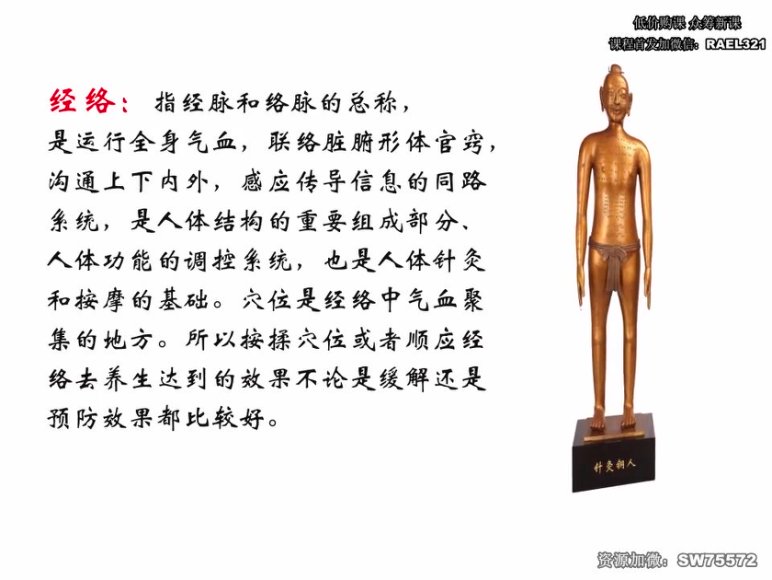 男士健康：高思楠补肾宝典