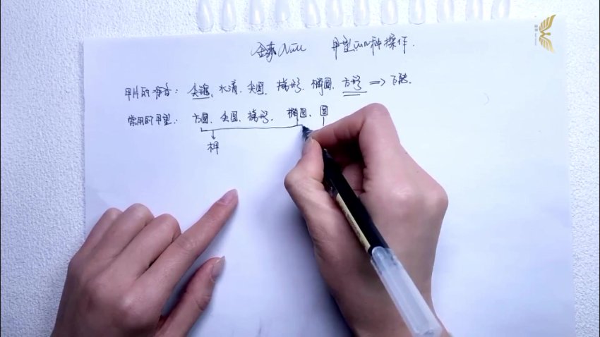 金菲美甲全科班：零基础到高级技法