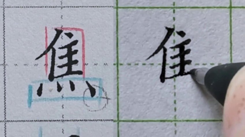 硬笔楷书偏旁部首规律精讲(中级13