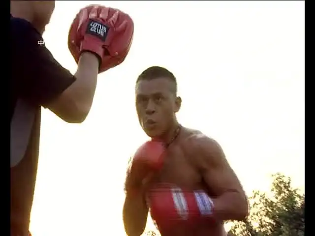 中国武术精华：咏春拳+格斗+擒拿实战教学