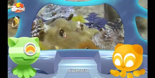 探索海底世界：海洋生物与现象全揭秘