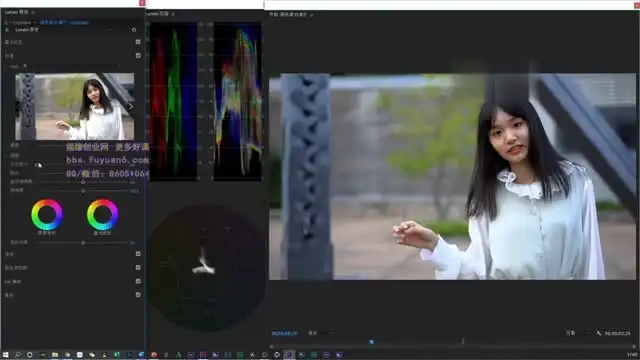 高薪剪辑师IP实战班：B站炮长2期教程