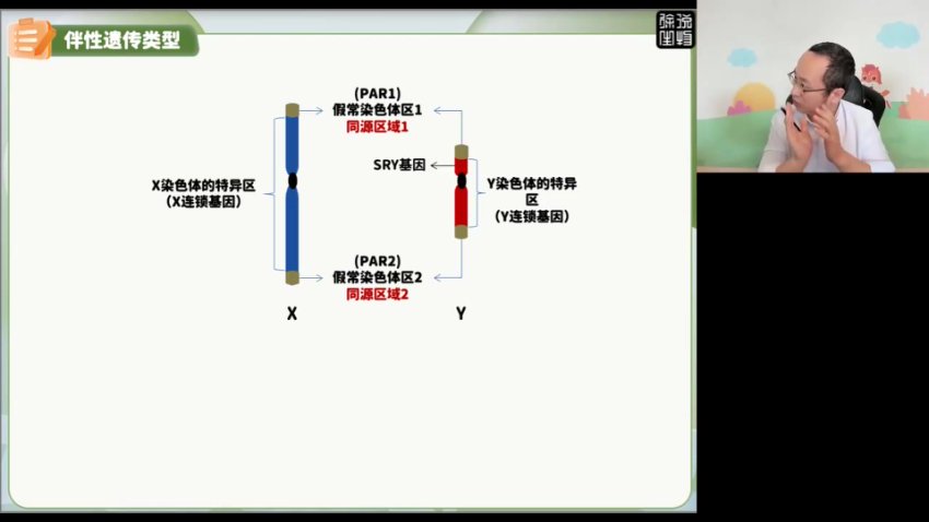 2024高三生物押题班-徐京精讲